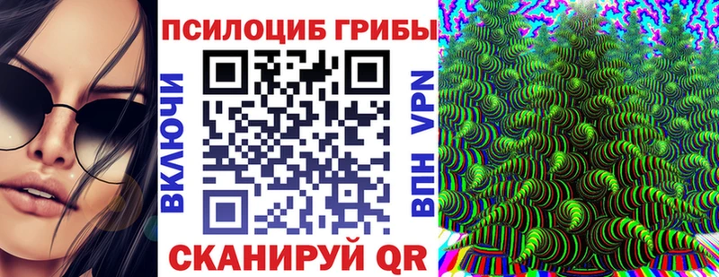 где продают   Самара  Галлюциногенные грибы Psilocybe 
